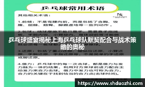 乒乓球盛宴揭秘上海乒乓球队默契配合与战术策略的奥秘